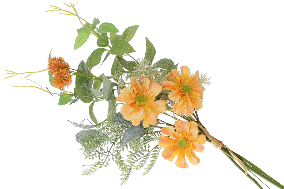 /assets/images/products/89187/1688027729.jpg
