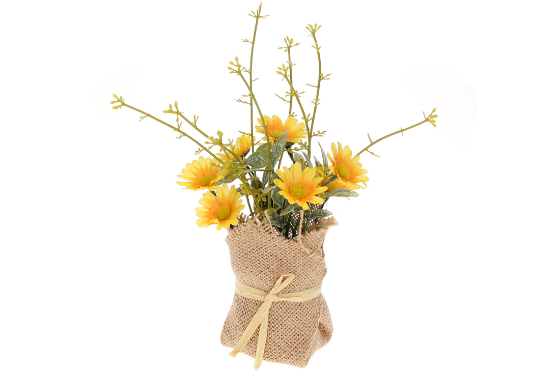 /assets/images/products/89190/1688028396.jpg