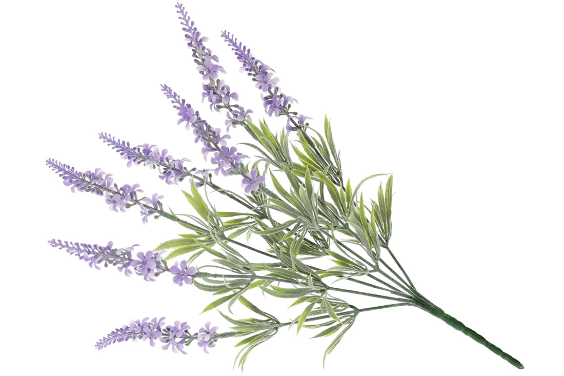 /assets/images/products/89198/1688029786.jpg
