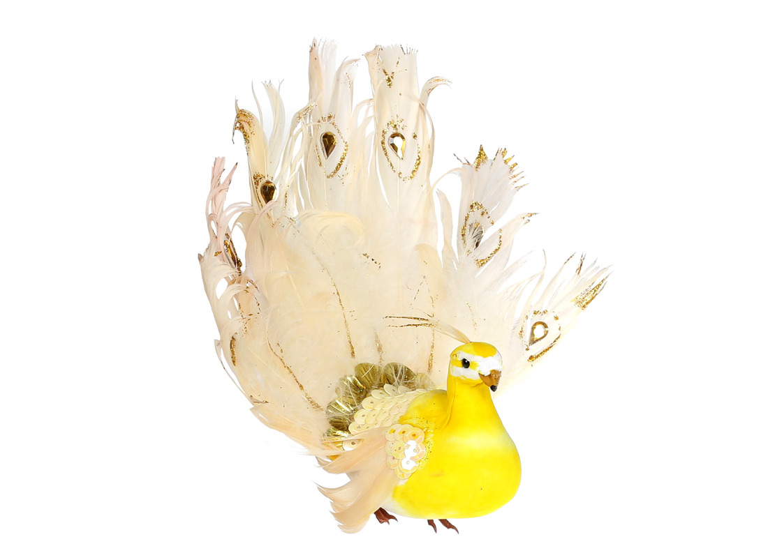 /assets/images/products/89360/1688471128.jpg