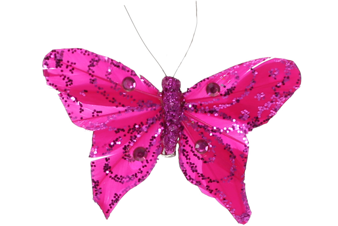 /assets/images/products/89438/1688558432.jpg