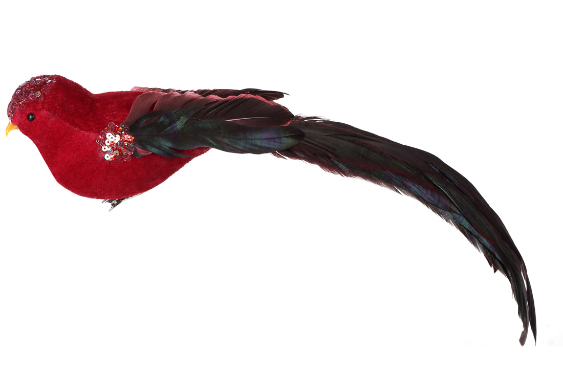 /assets/images/products/89527/1688720267.jpg