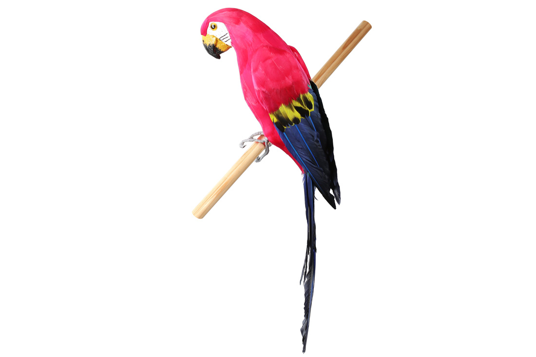 /assets/images/products/89541/1688728745.jpg