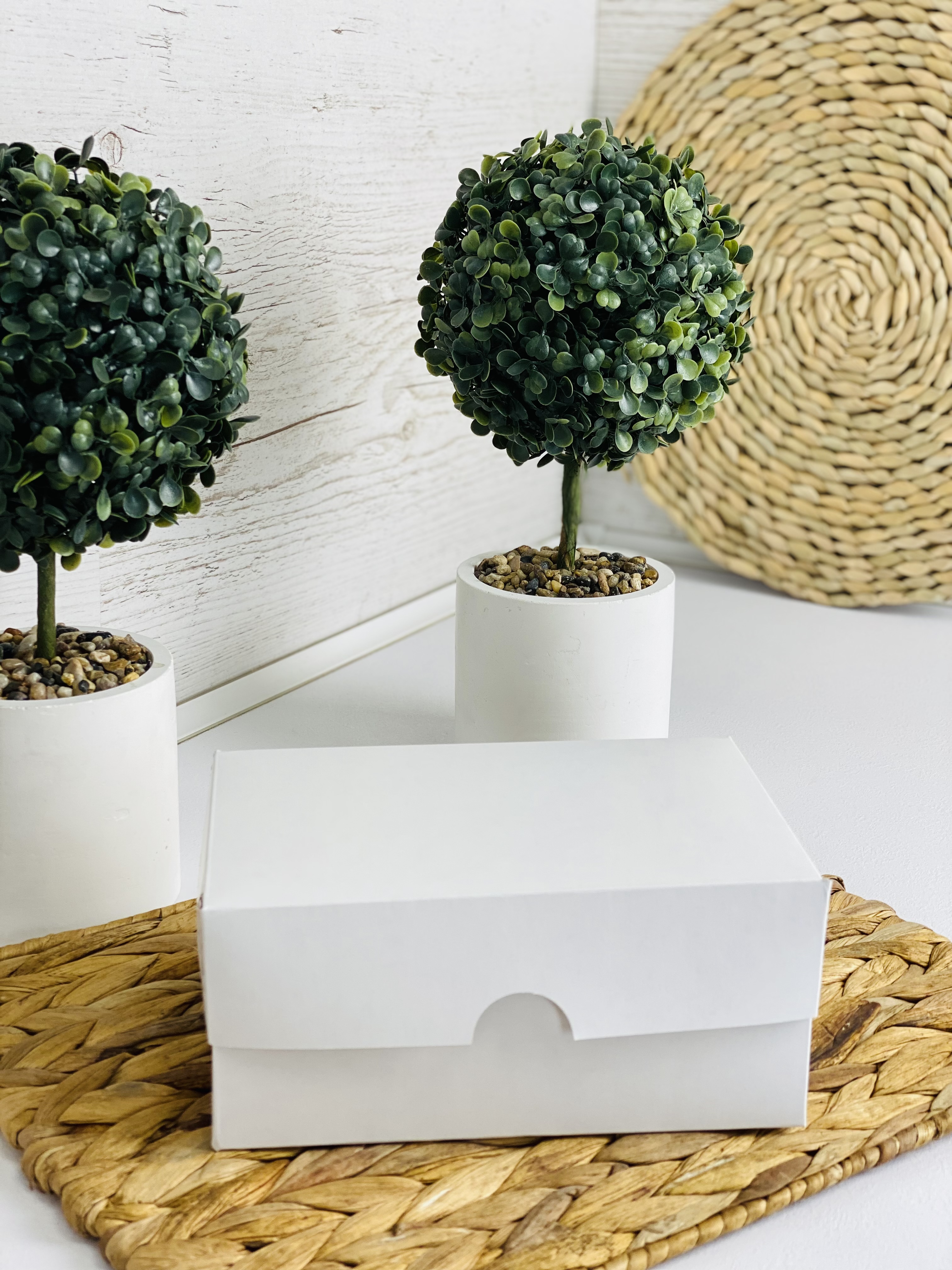 /assets/images/products/90396/1694088424.jpg