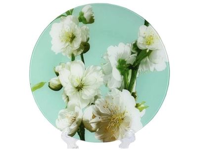 /assets/images/products/93749/1701897117.JPG