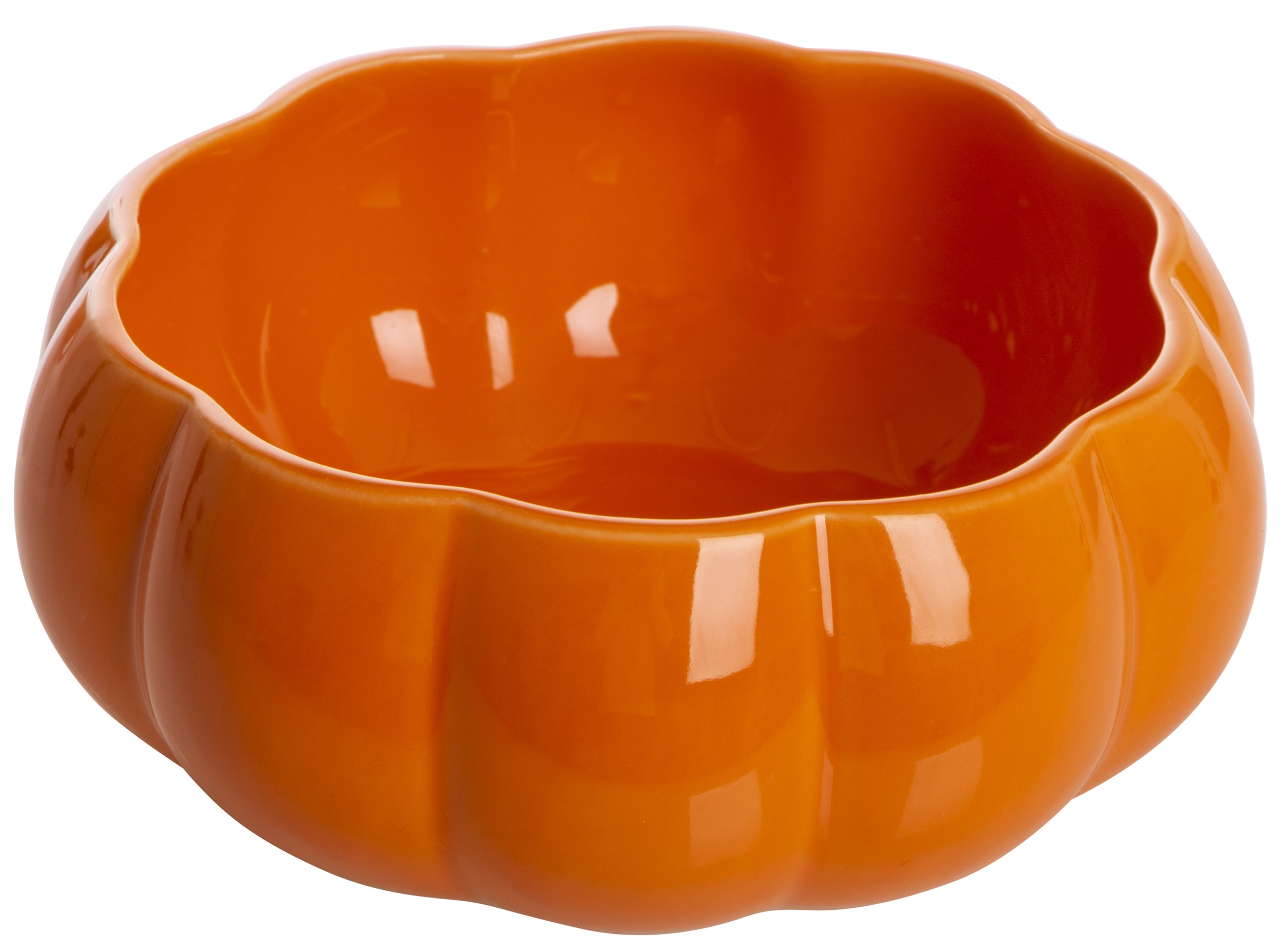 /assets/images/products/94046/1704916590.jpg