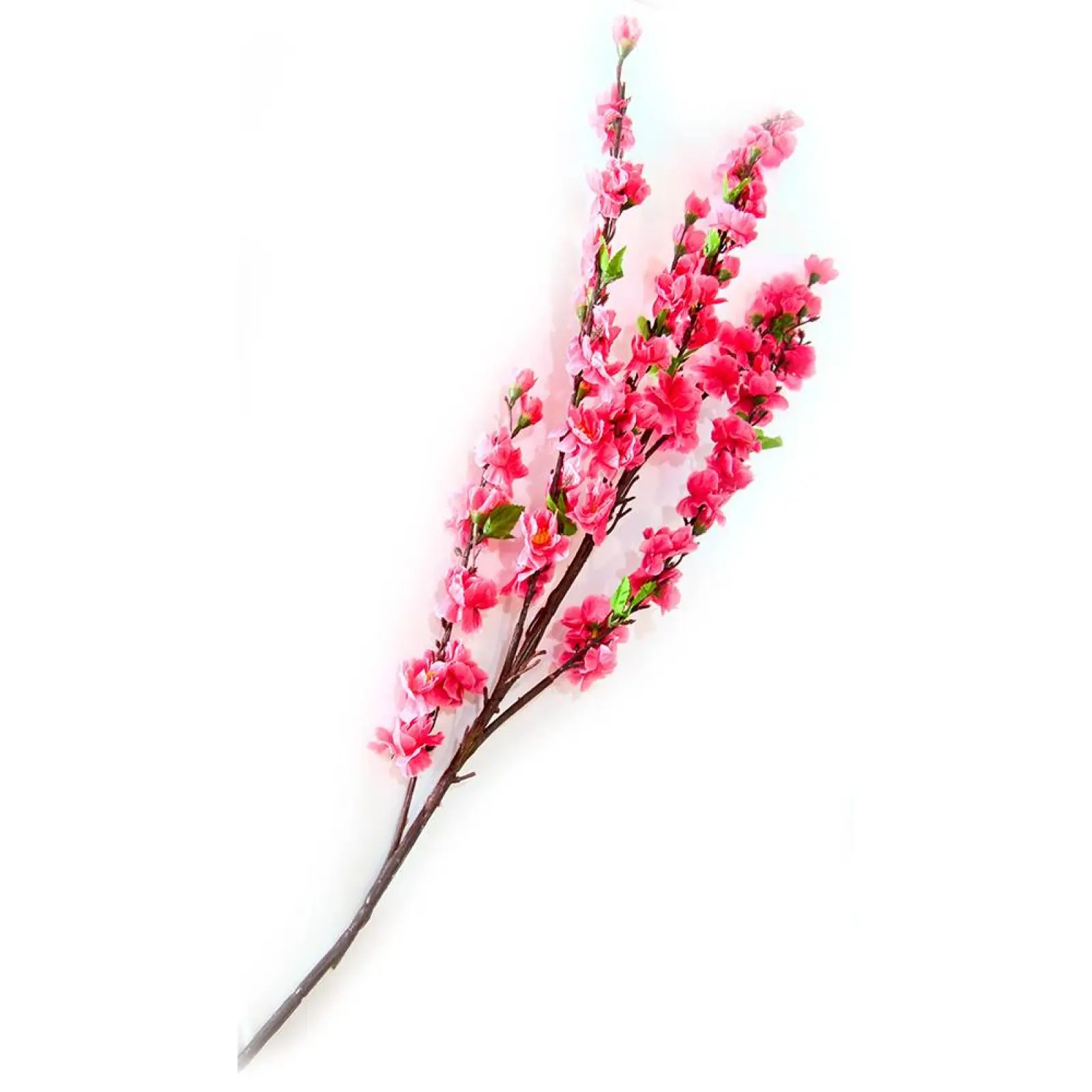 /assets/images/products/99762/1719820545.png