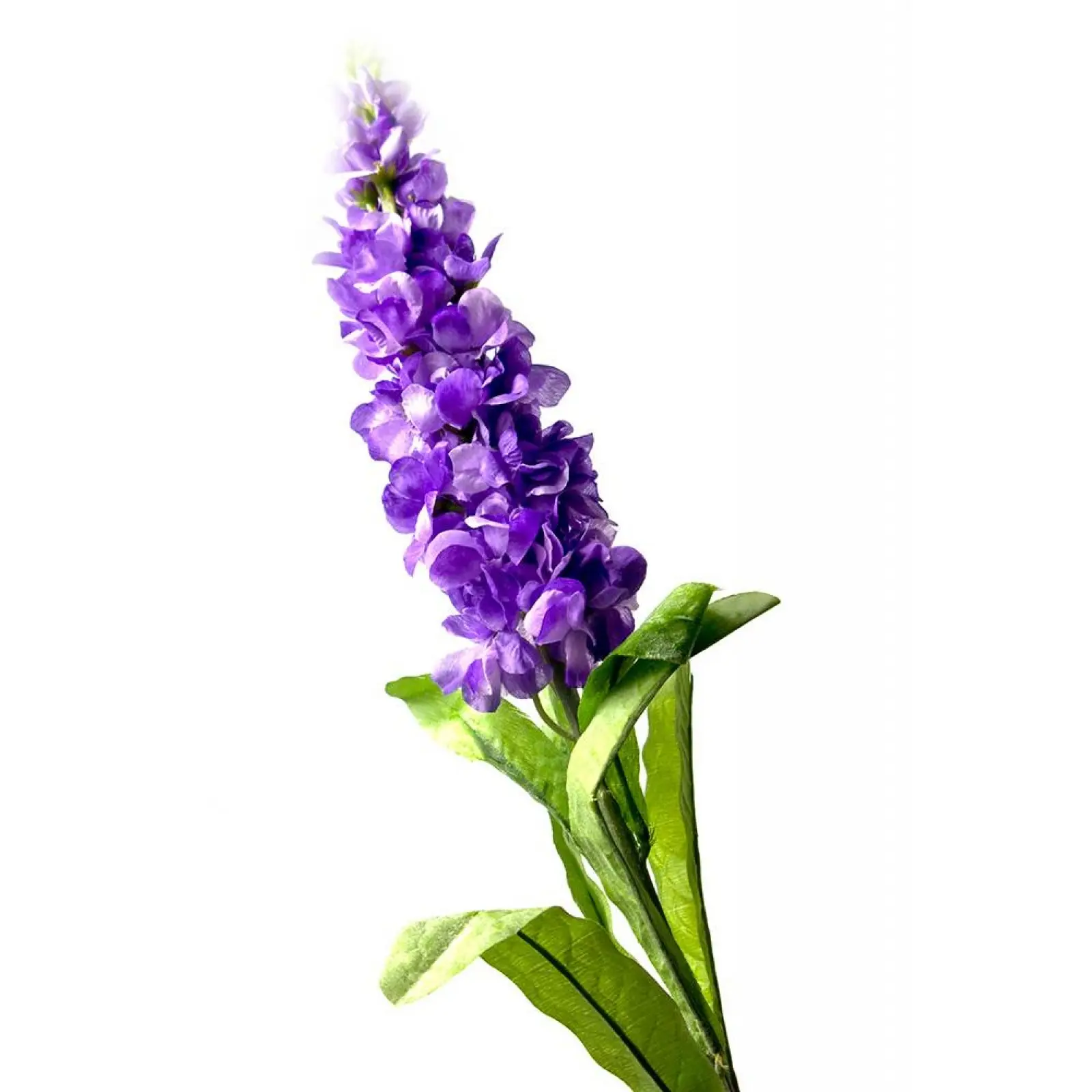 /assets/images/products/99766/1719822553.png