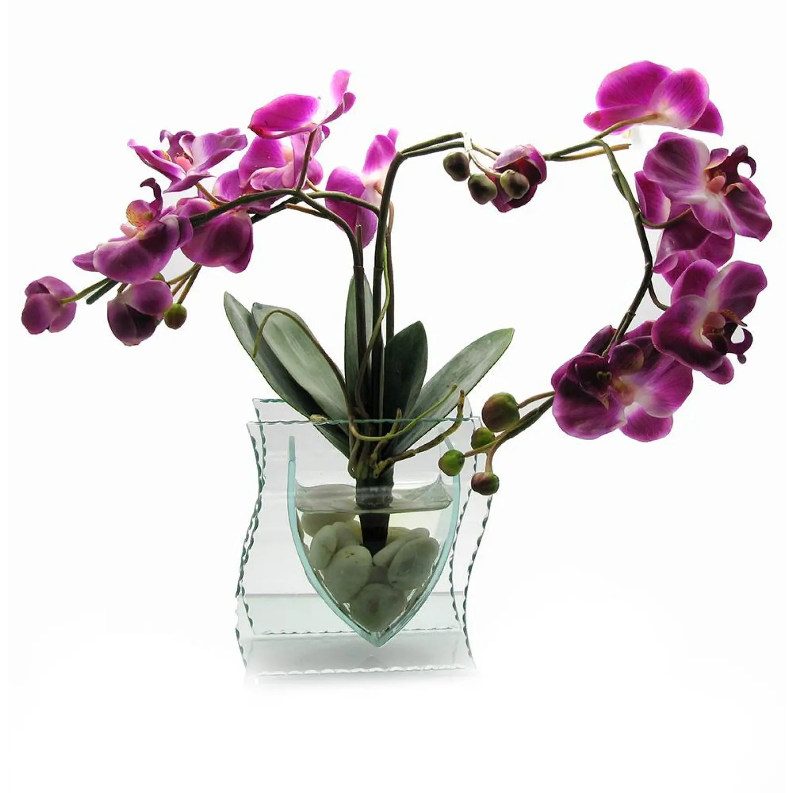 /assets/images/products/99776/1719828332.png