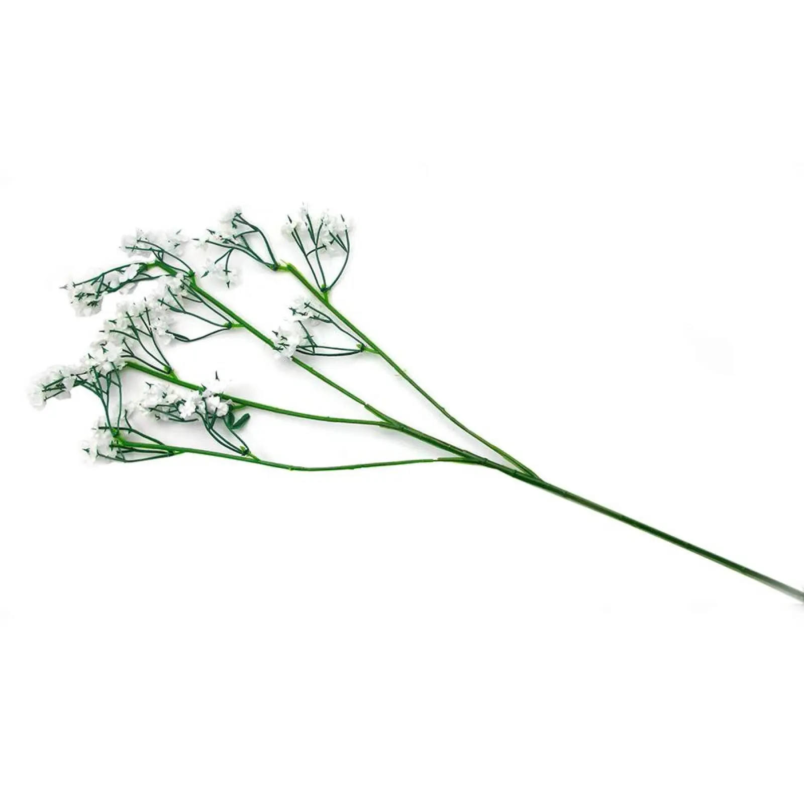 /assets/images/products/99779/1719829740.png